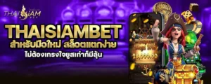 thaisiambet สำหรับมือใหม่ สล็อตแตกง่ายไม่ต้องเกรงใจยูสเก่าก็มีลุ้น MARDIBET